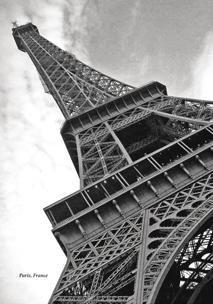 La France en danger et les secrets de Picasso - Level 1 - French