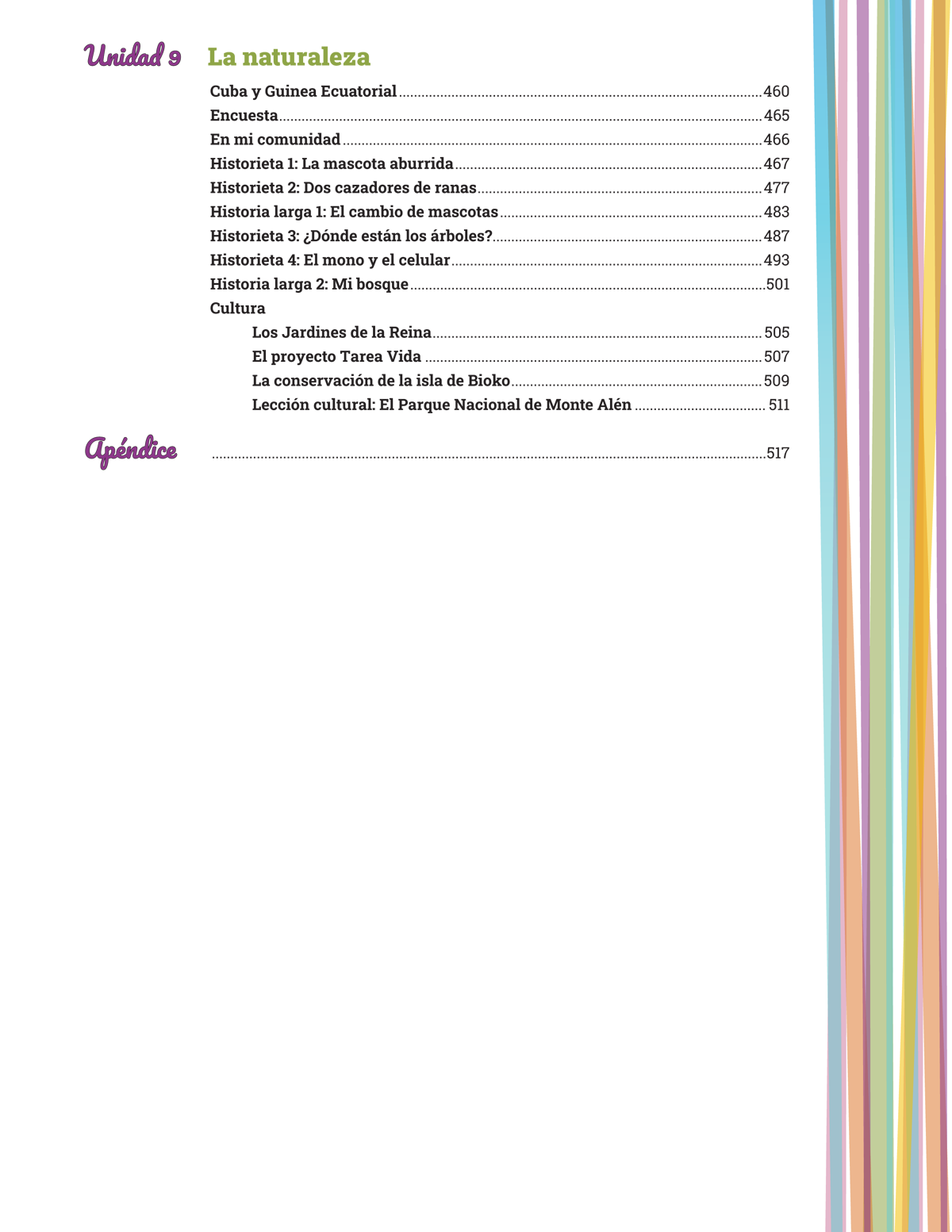 Nuestra historia: Puentes - Print Edition