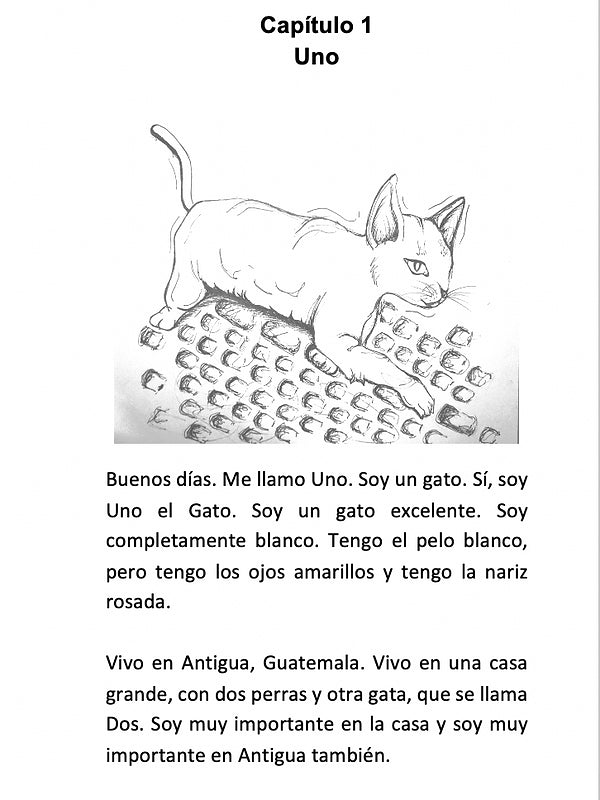 Chuchotenango - Level 1 - Spanish