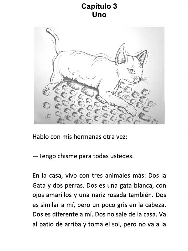 Chuchotenango - Level 1 - Spanish
