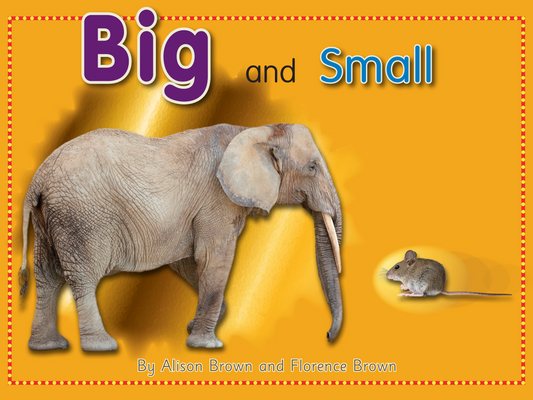 Big and Small - Elementary English