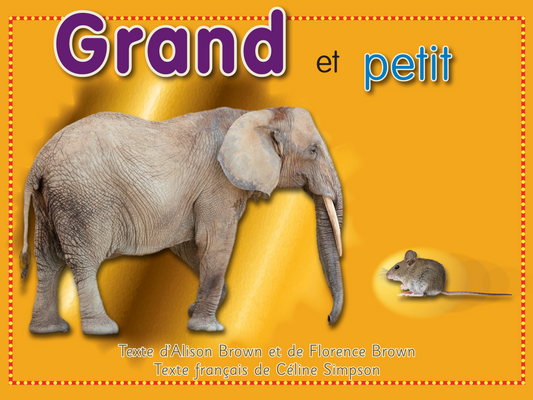 Grand et petit - Elementary French